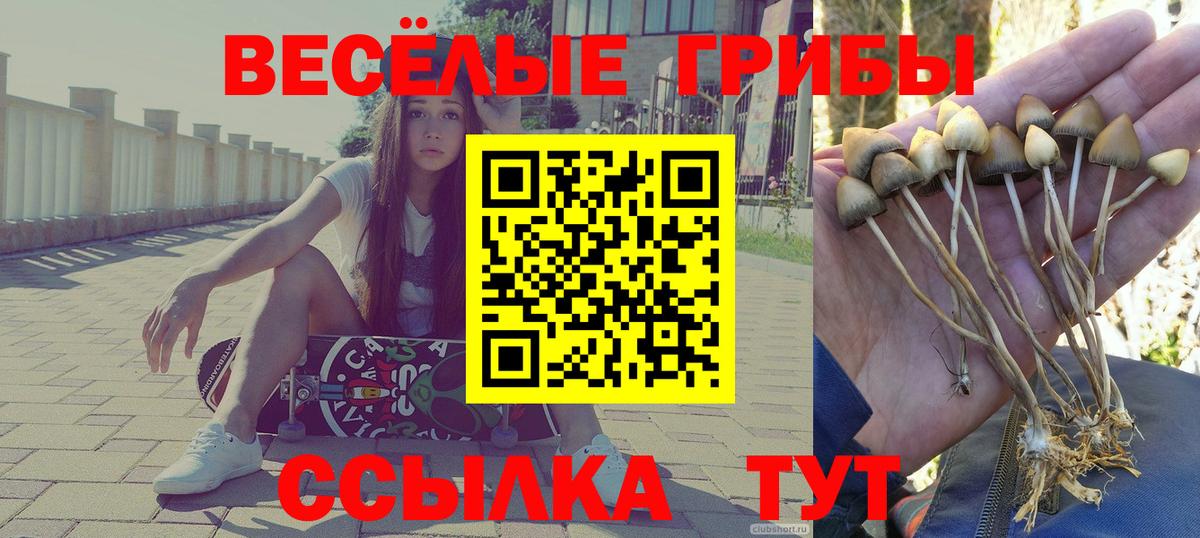 Галлюциногенные грибы Cubensis Реж